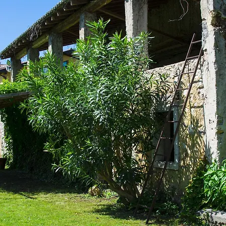 Belvedere Отель