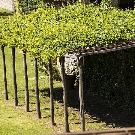 מלון Belvedere טורי דל בנקו