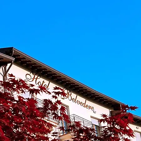 Belvedere *