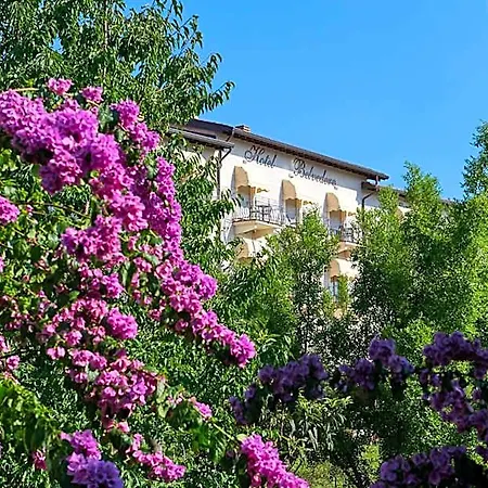 Belvedere Hotel Torri Del Benaco