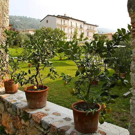 Belvedere *