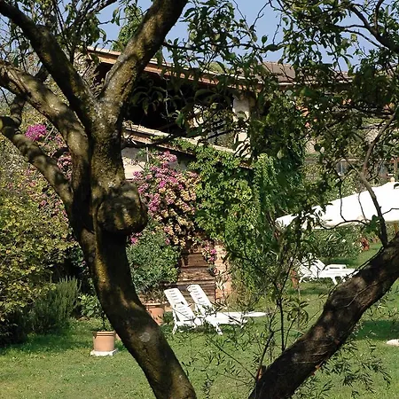Belvedere מלון