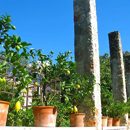 Belvedere מלון *