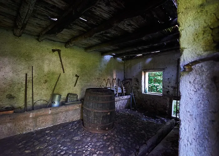 Belvedere Torri Del Benaco