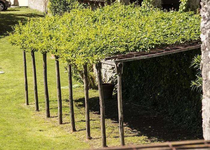 Hotel Belvedere Torri Del Benaco